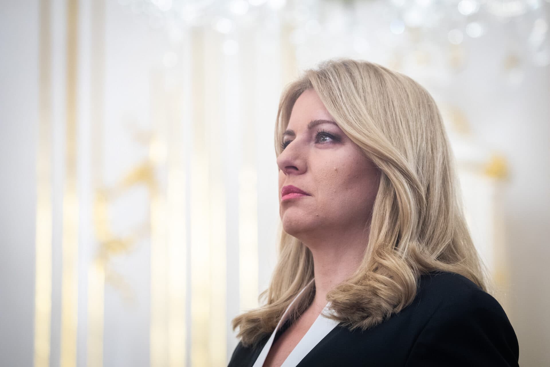 Posilnia sa oprávnenia komisára pre osoby so zdravotným postihnutím