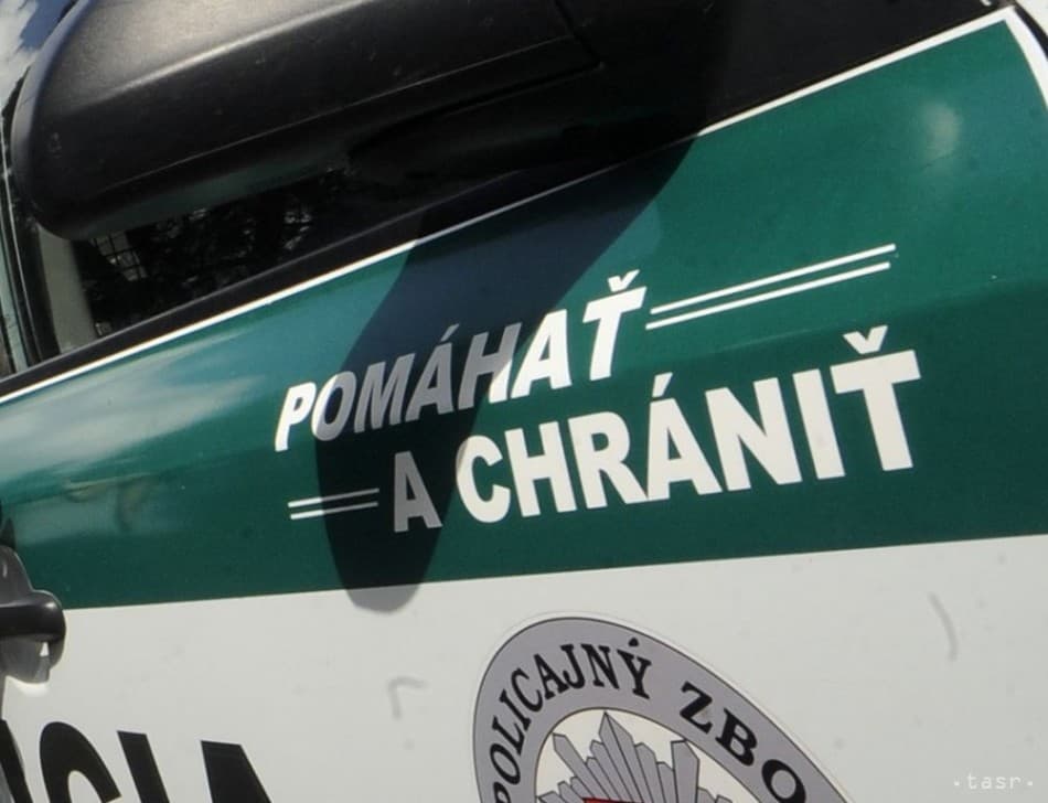 Seniorke pomáhal s prácami okolo domu, potom ju okradol