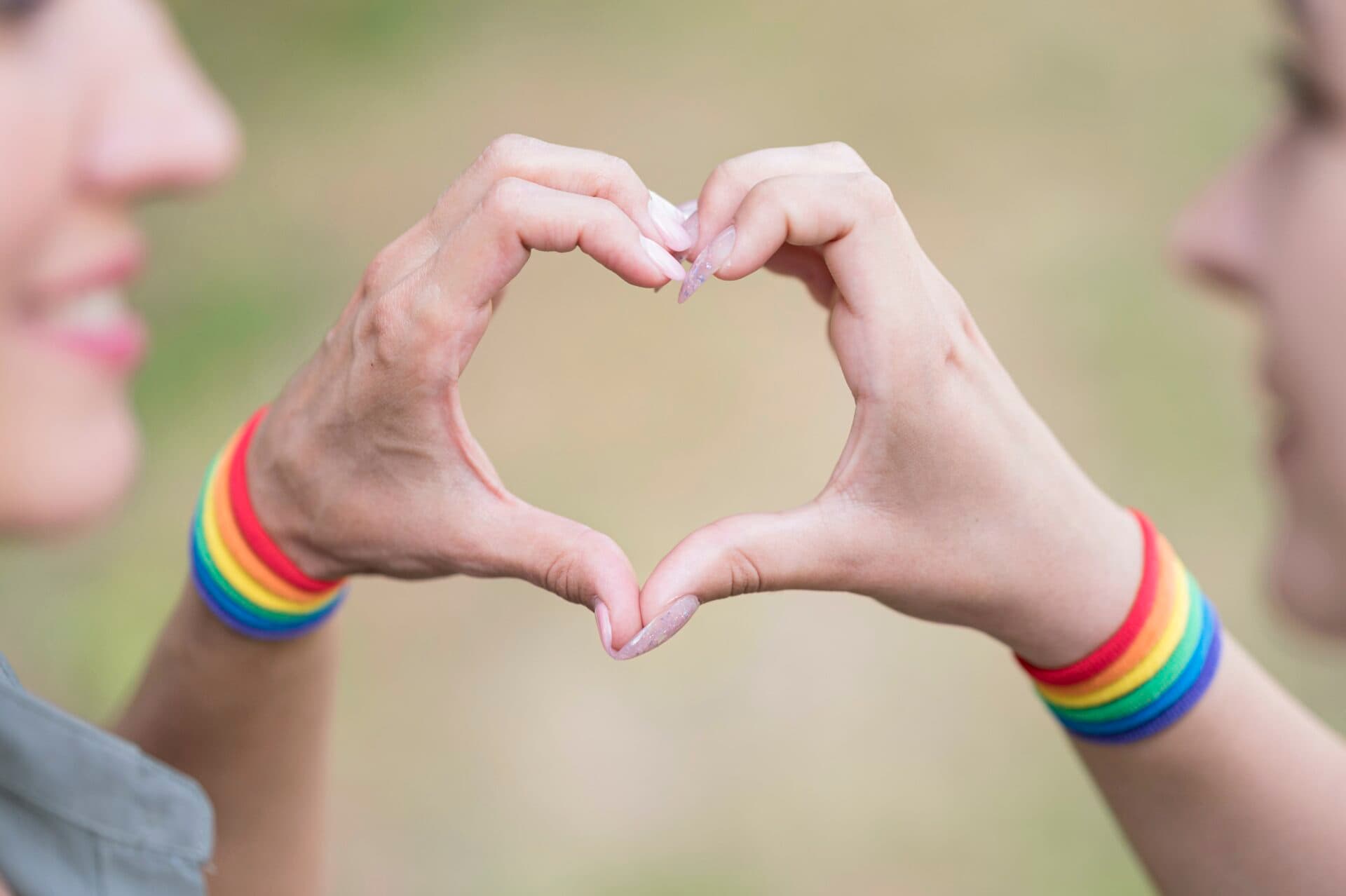 SaS sa neprestane usilovať o posilnenie práv LGBTI ľudí, po neúspechu majú plán B