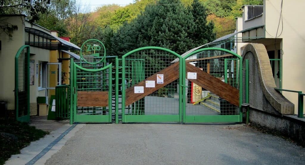 Košická zoo už konečne dosiahla vlaňajšiu návštevnosť