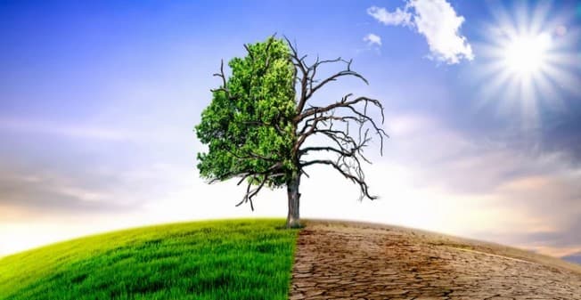 Slovensko sa hlási k Európskej zelenej dohode a podporuje ambiciózne klimatické ciele EÚ