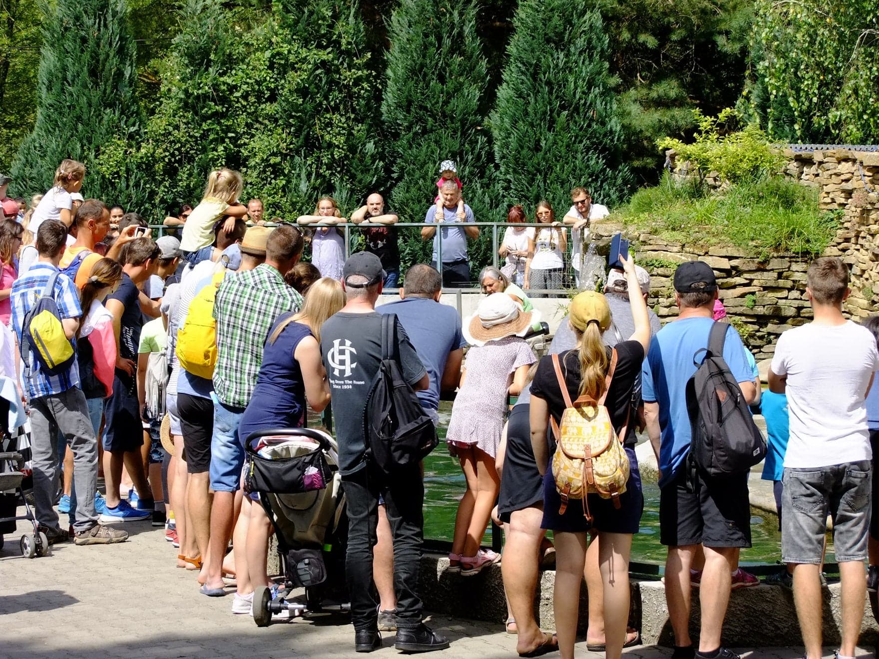 Ukrajinci budú mať bezplatný vstup do ZOO Košice