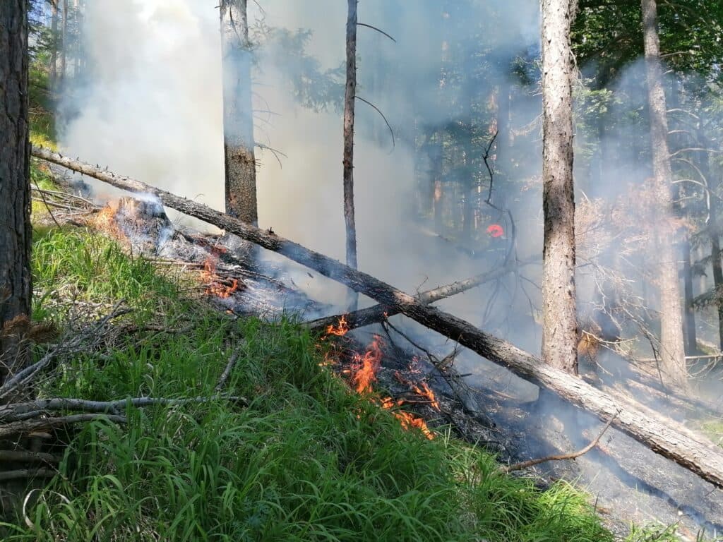 Hasiči zasahovali pri ďalšom požiari lesa. Možnou príčinou bol blesk (FOTO)