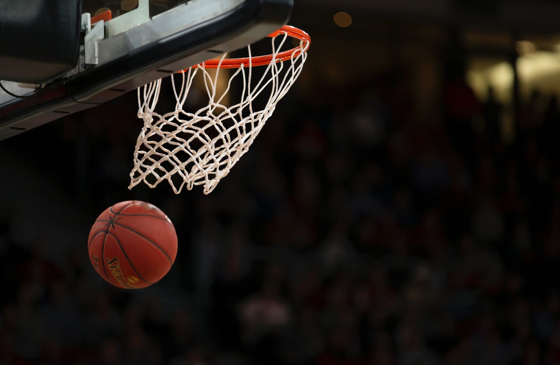 Fotografia k súvisiacemu článku Basketbalová ženská liga začína. V extralige sa stretnú dve košické družstvá