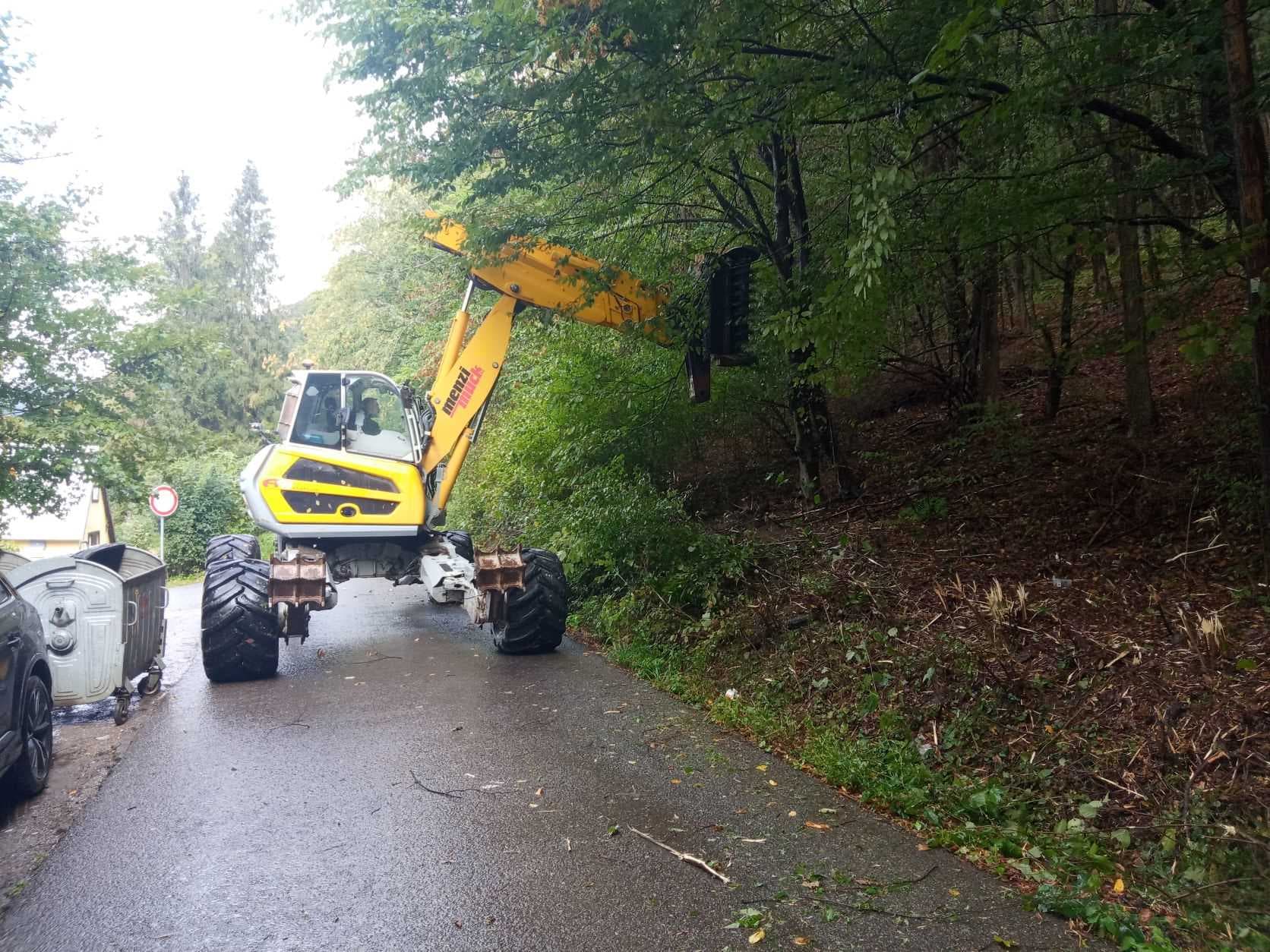V týchto častiach lesoparku zvýšte opatrnosť. Začína sa s údržbou lesov