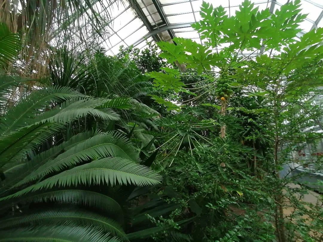 Košická botanická záhrada v pondelok otvorí nové návštevnícke centrum