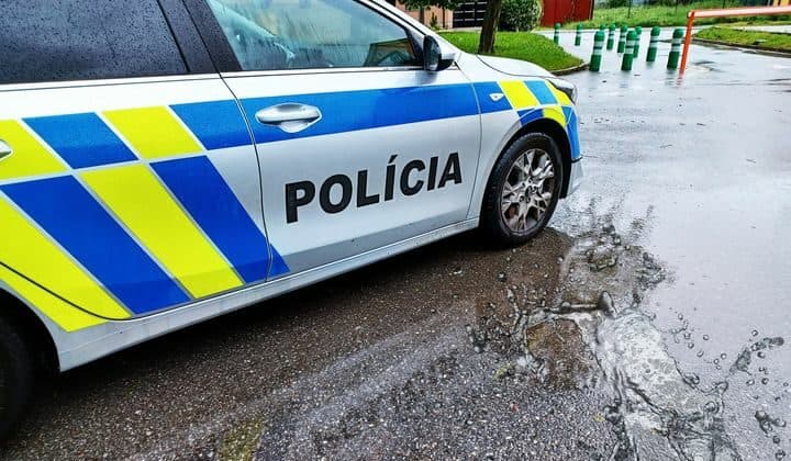 Žena hodila na muža korytnačku. Majiteľovi vznikla škoda vo výške takmer 800 eur