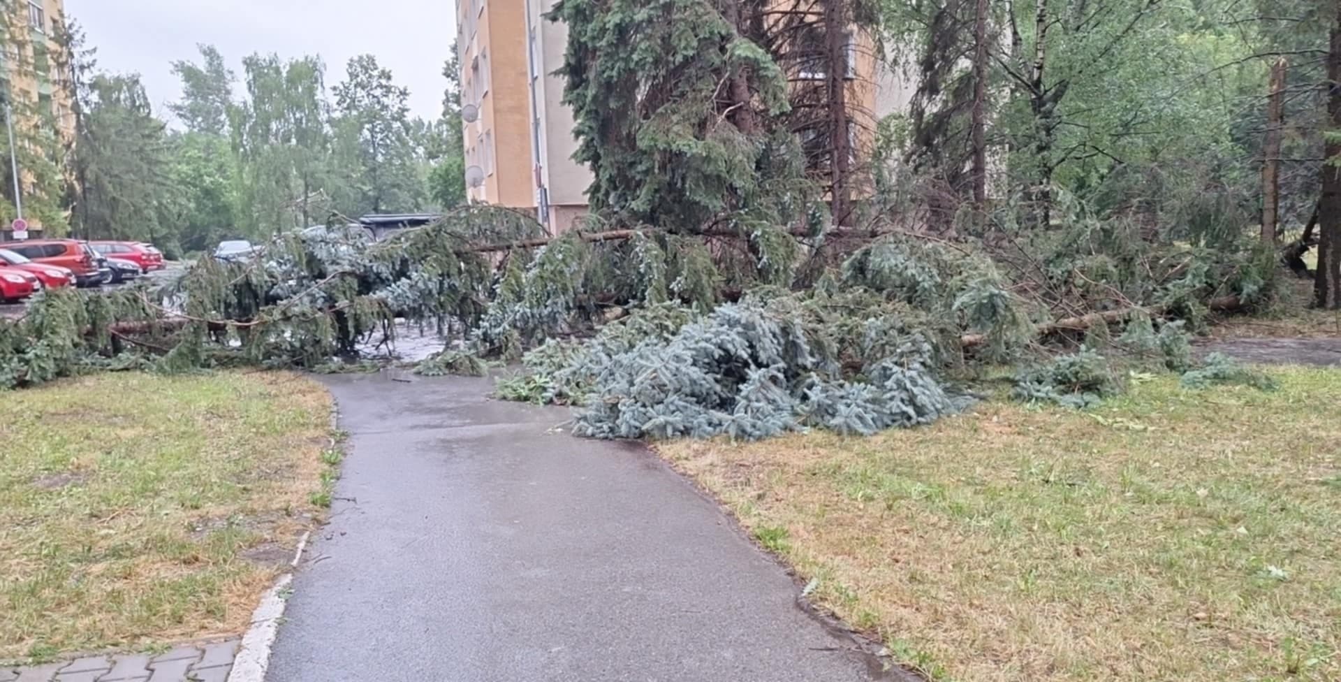 Krízový fond krajskej nadácie pomôže obyvateľom po veternej smršti