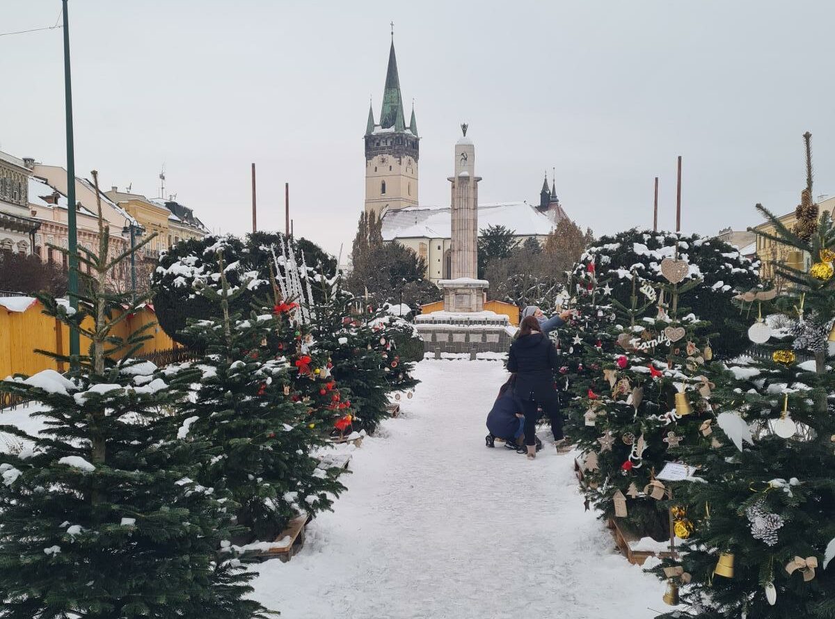 Alej vianočných stromčekov v Prešove vyzdobili školáci (FOTO)