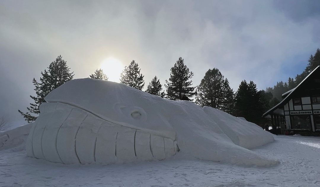 V Tatrách pribudla obrovská veľryba: Na jej stavbu použili 40 kubíkov snehu